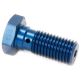 TRW Lucas, průtokový šroub brzdové hadice M10X1,25 (dvojitý) modrá barva