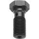 TRW Lucas, průtokový šroub brzdové hadice M10X1,25 černá barva