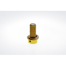 Accel, vypouštěcí šroub oleje Kawasaki KXF 450 '06-'15, zlatá barva