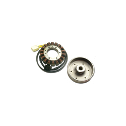 Electrex, rotor, Honda CBR 900/929 (SC44)