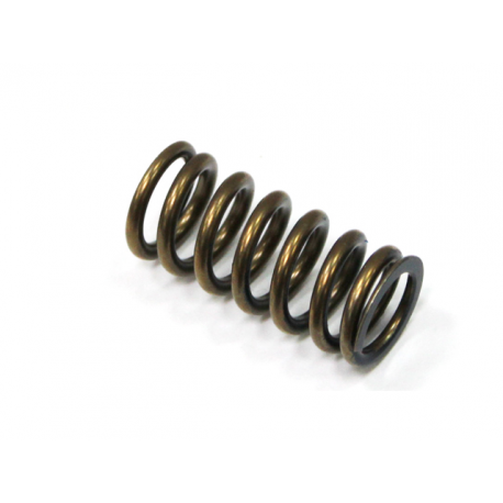 Nachman, pružina sacího ventilu, Yamaha YZF 250 '01-'13 / WRF 250 '01-'13, GAS GAS EC 250F (10-15), 300F (13-15) (PSYCHIC) (MX-0