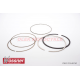 Wossner, pístní kroužky 2 ks. ( 100.00x1.00mm 100.00x2.00mm )