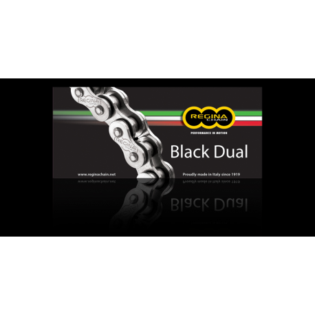 Regina, řetěz 525ZRA (124 článků) Z-RING DUAL do 800 ccm, černý (nýtovací spojka) (137ZRA/1000)