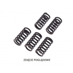 EBS, spojkové pružiny EBC CSK 12/4 Suzuki DR 800