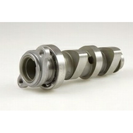 Hot Cams, vačková hřídel, Honda TRX 450ER (08)