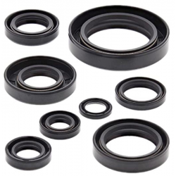 Winderosa (Vertex), sada gufer motoru, Honda CR250R '84,