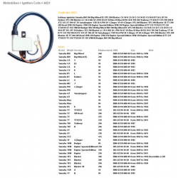 DZE, indukční cívka, Yamaha YFS 200 Blaster '89-'06, YFM 250 Raptor '09-'12