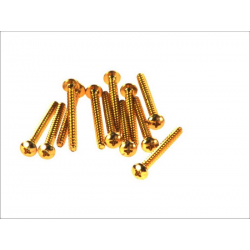 Vicma, šrouby pro montáž plexi M5X50 (zlatá barva 12 ks.)