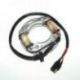 Electrosport, stator alternátoru, Suzuki RM 80/85 '82-'11, 125 '81-'86, RM250 76-81, RM400/465/500 78-84