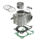 RMS, sada válec+píst, Honda FES 125 S-WINGS '07-'12 FES 125 PANTHEON '03-'06 NES 125 '00-'10 SES 125 DYLAN '02-'06 SH 125 '01-'1