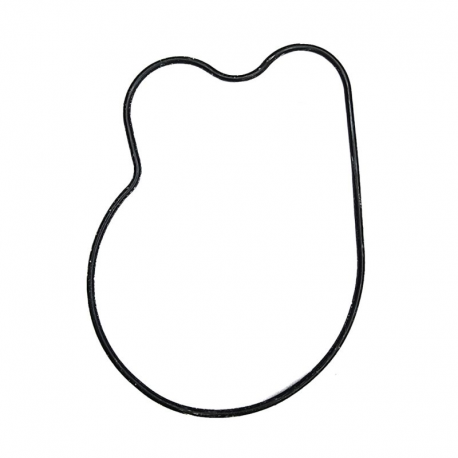 Athena, těsnění víka vodní pumpy, Honda CBR 1000RR '00-'07, CBF 1000 '07-'12