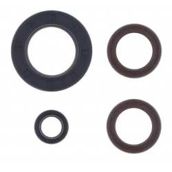 Centauro, sada gufer motoru, KTM GS 250 '80-'81 , MX 250 '80-'81