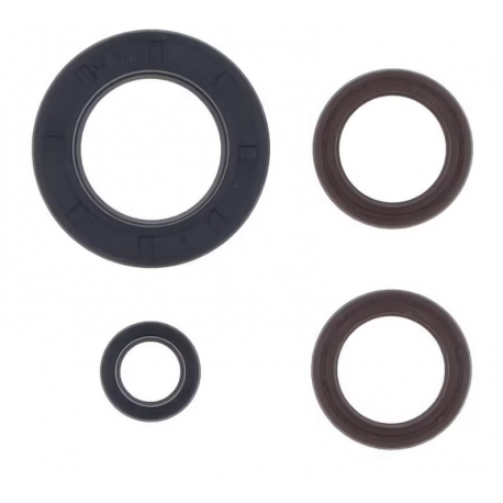 Centauro, sada gufer motoru, KTM GS 250 '80-'81 , MX 250 '80-'81