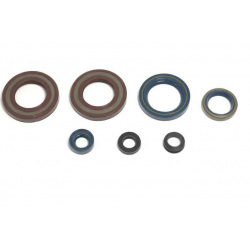 Centauro, sada gufer motoru, KTM LC4 350/400/500/600/620/ '87-'94 (ALL MODELS LC4)