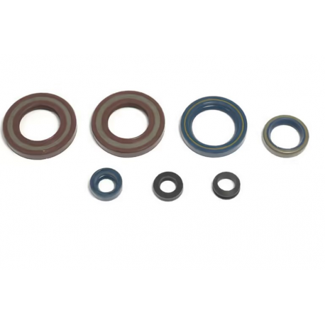 Centauro, sada gufer motoru, KTM LC4 350/400/500/600/620/ '87-'94 (ALL MODELS LC4)