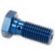 TRW Lucas, průtokový šroub brzdové hadice M10X1,25 (dvojitý) modrá barva