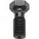 TRW Lucas, průtokový šroub brzdové hadice M10X1,25 černá barva