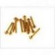 Vicma, šrouby pro montáž plexi M5X50 (zlatá barva 12 ks.)