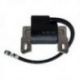 DZE, modul zapalování BRIGGS STRATTON (OEM 793353 590455 792640 792631 799382 793354