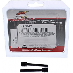 All Balls, čep brzdových destiček, přední, Kawasaki VN1600, Z1000/900, ZX10R, ZX12R, ZX6R, Suzuki DL1000, GSXR 600